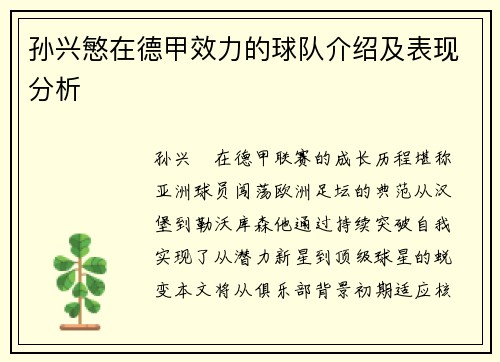 孙兴慜在德甲效力的球队介绍及表现分析