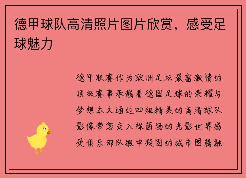 德甲球队高清照片图片欣赏，感受足球魅力